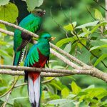 Refugio del Quetzal, San Marcos, Guatemala -parte 3