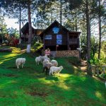 Parque Ecológico Pino Dulce, Jalapa Guatemala