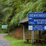 Biotopo del Quetzal en Baja Verapaz, Guatemala Biotopo del Quetzal en Baja Verapaz, Guatemala